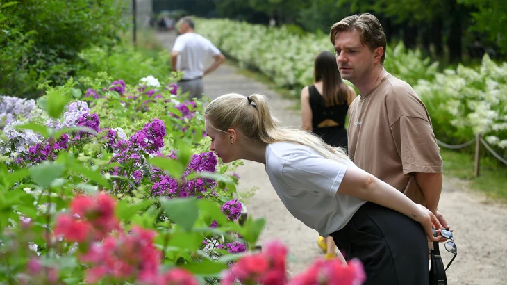 Фестиваль «Москва, расцветай!» пройдет с 15 апреля по 15 мая Фестиваль «Москва, расцветай!» пройдет с 15 апреля по 15 мая