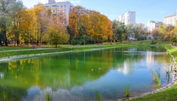 Собянин: в 2025 году в Москве запланирована реабилитация 19 водных объектов