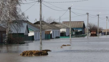 Уровень воды в реке у тюменского Ишима поднялся до 1 006 сантиметров