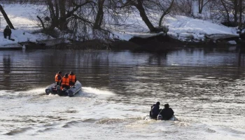 Протяженность поиска пропавшей в Звенигороде девочки увеличили до 35 км