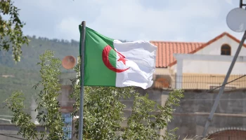 Алжир запросил заседание в СБ ООН по вопросу массовых захоронений в Газе