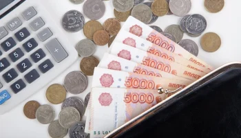 Экономист Бархота: сумма подушки безопасности должна составлять не менее 120 тыс руб