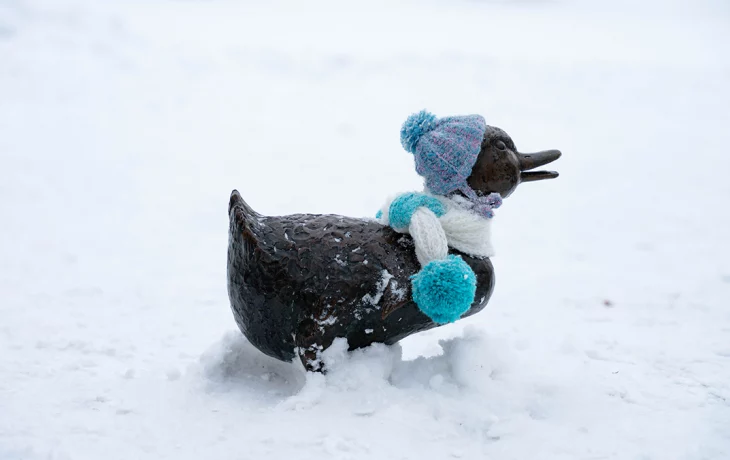 Синоптики сообщили о морозной и снежной погоде в Москве 19 декабря Синоптики сообщили о морозной и снежной погоде в Москве 19 декабря