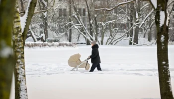 Синоптики пообещали москвичам облачную погоду с прояснениями 25 января