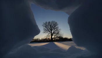 Вильфанд предупредил о возвращении морозов в столичный регион на грядущей неделе