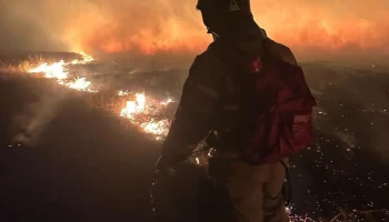 В Забайкалье ликвидировали 16 лесных пожаров за сутки