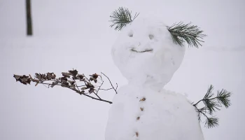 Аномальные морозы до минус 36 градусов обрушатся на Центральную Россию