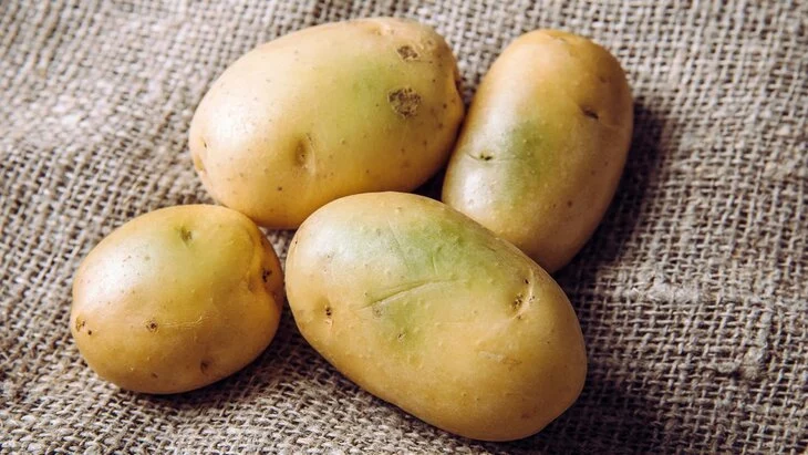 В России предложили создать единый бренд картофеля