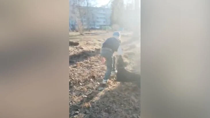 Собака набросилась на троих детей в Тверской области