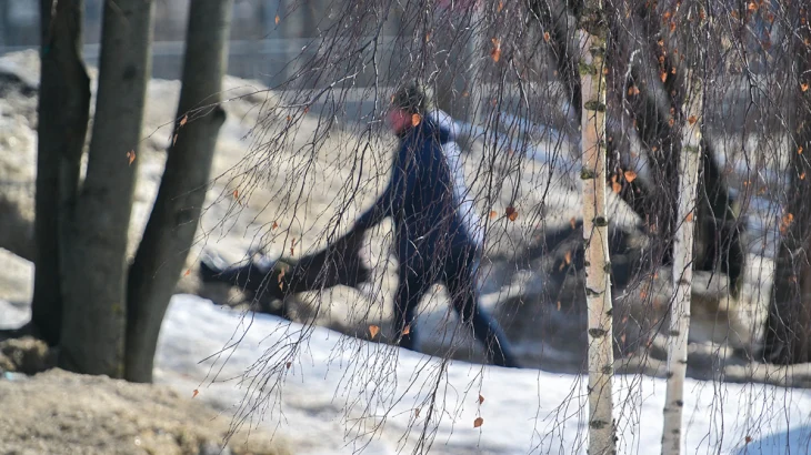 Мороз до минус 7 градусов ожидается в Москве и области в ночь на 17 марта