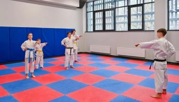 Участок под строительство ФОК выставили на торги в Косино-Ухтомском районе