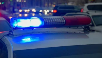 Автомобиль насмерть сбил женщину на пешеходном переходе в ТиНАО