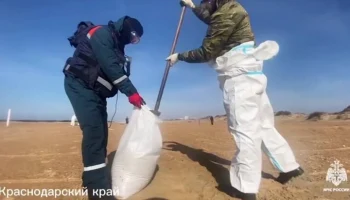 Минтранс РФ определил способ утилизации мазута с танкеров "Волгонефть"