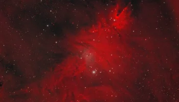 Роскосмос в канун Рождества показал космическую елку