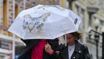 Московские парки закрылись из-за непогоды