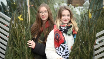 Пихта дольше простоит: что можно купить на елочных базарах в столице