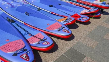 Соревнования по SUP-поло пройдут в Москве в рамках фестиваля "Рыбная неделя"