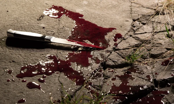 Shot: На теле убитой в Ленобласти 12-летней девочки обнаружили 30 колотых ран Shot: На теле убитой в Ленобласти 12-летней девочки обнаружили 30 колотых ран