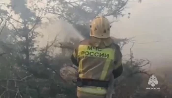 Площадь лесного пожара в районе хутора Дюрсо увеличилась до 22 гектаров