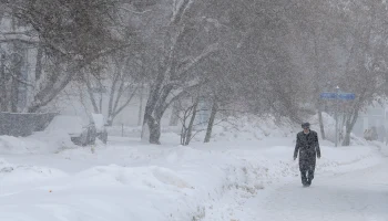 Гидрометцентр: Снегопад в Московском регионе продлится до утра пятницы