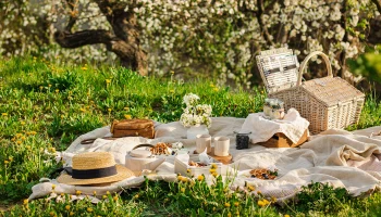 Врачи рассказали, как правильно подготовиться к пикнику