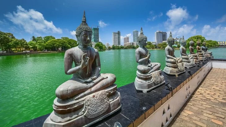 На Шри-Ланке подозреваемых в ловле ящериц россиян освободили под поручительство На Шри-Ланке подозреваемых в ловле ящериц россиян освободили под поручительство