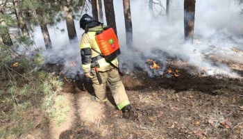 Пожарные локализовали возгорание в лесах Ростовской области