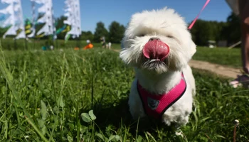&laquo;Грозы и дожди&raquo;: москвичам рассказали о погоде на выходные в столице