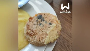 Роспотребнадзор проверит нижегородскую школу после сообщений о еде с плесенью