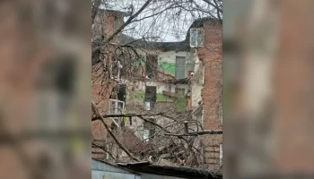 Животных эвакуируют из частично обрушившегося дома в Ростове-на-Дону
