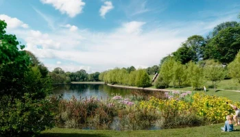 В парке 50-летия Октября началась реабилитация пруда