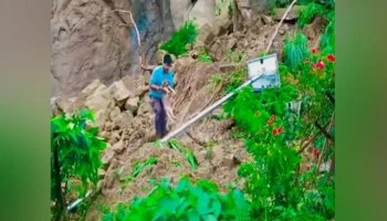 Лай собаки спас от оползня 67 человек в Индии