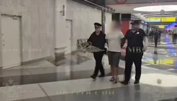 Отец пострадавшего в Шереметьево ребенка признан потерпевшим