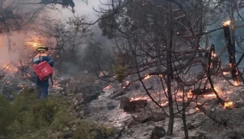 Два человека пострадали при пожаре под Новороссийском