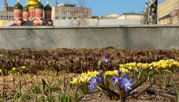 Синоптики сообщили о теплой и сухой погоде в Москве 21 марта Синоптики сообщили о теплой и сухой погоде в Москве 21 марта