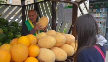 Бахчевые развалы откроются 3 августа в Москве
