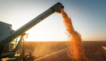 В Киеве обвинили Польшу в уничтожении 160 тонн украинского зерна