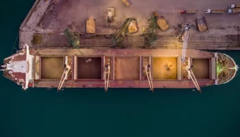 Минсельхоз Турции сообщил о временной приостановке импорта пшеницы