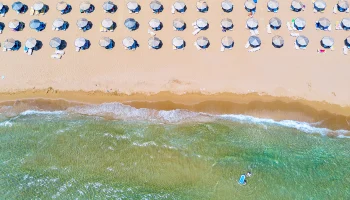 Все пляжи Краснодарского края откроются в 2026 году после ЧП с мазутом