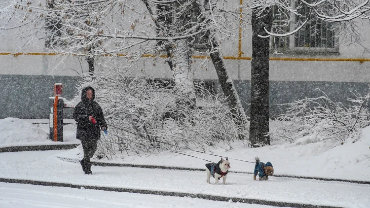 Синоптики сообщили о снежной и морозной погоде в Москве 7 января Синоптики сообщили о снежной и морозной погоде в Москве 7 января
