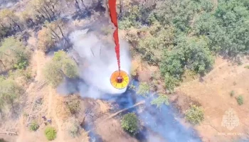 Лесной пожар в заказнике под Новороссийском потушен