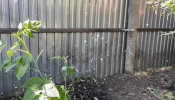 Два человека пострадали в Белгородской области в результате атаки со стороны ВСУ