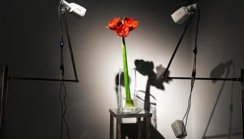 В МАММ открылась вторая международная биеннале "Искусство будущего"