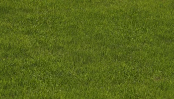 Зеленые пространства Москвы будут интегрированы в повседневную жизнь горожан