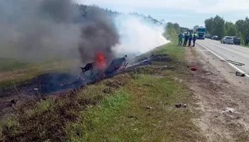 Четырнадцать человек пострадали в результате ДТП с автобусом под Воронежем