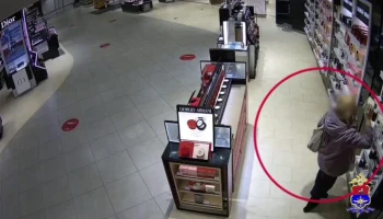 Задержана сотрудница кафе аэропорта Домодедово за шесть краж в Duty Free