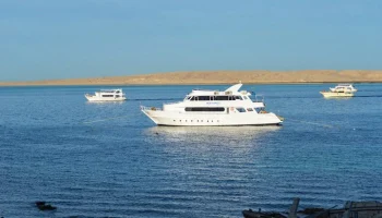 Капитан затонувшего в Египте батискафа заявил, что покинул судно последним