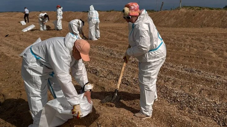 Мэрия Анапы увеличила иск за ликвидацию последствий разлива мазута до 545,9 млн рублей Мэрия Анапы увеличила иск за ликвидацию последствий разлива мазута до 545,9 млн рублей