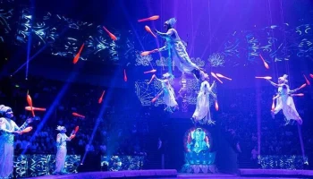 Уже 100 тысяч москвичей приняли участие в голосовании о цирке на Вернадского