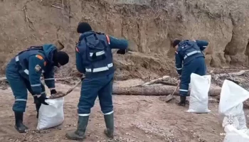 На Кубани спасли почти 1,7 тыс пострадавших от мазута птиц